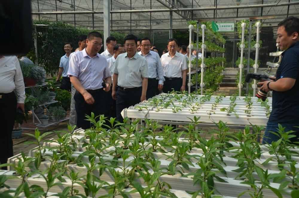 科技助农,播撒光的种子  精准扶贫,助力乡村振兴