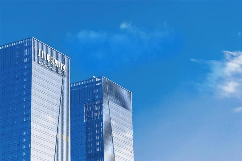 小鸭控股集团:聚势赋能夯实发展劲头 创新驱动增强综合实力